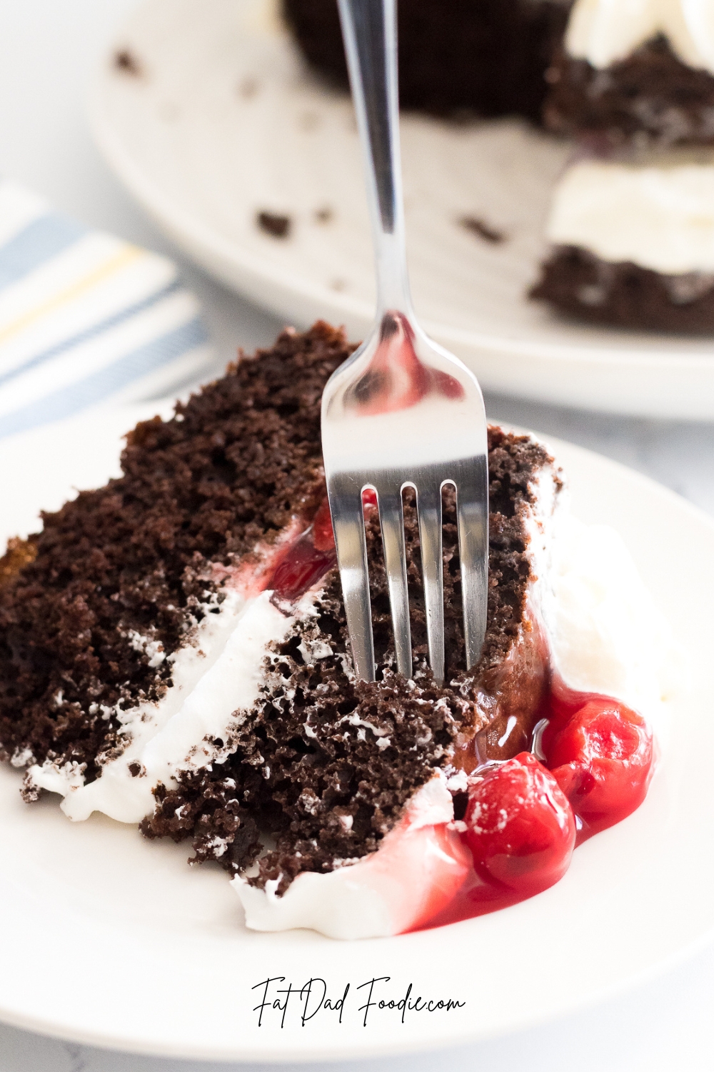 layered black forest cake with fork